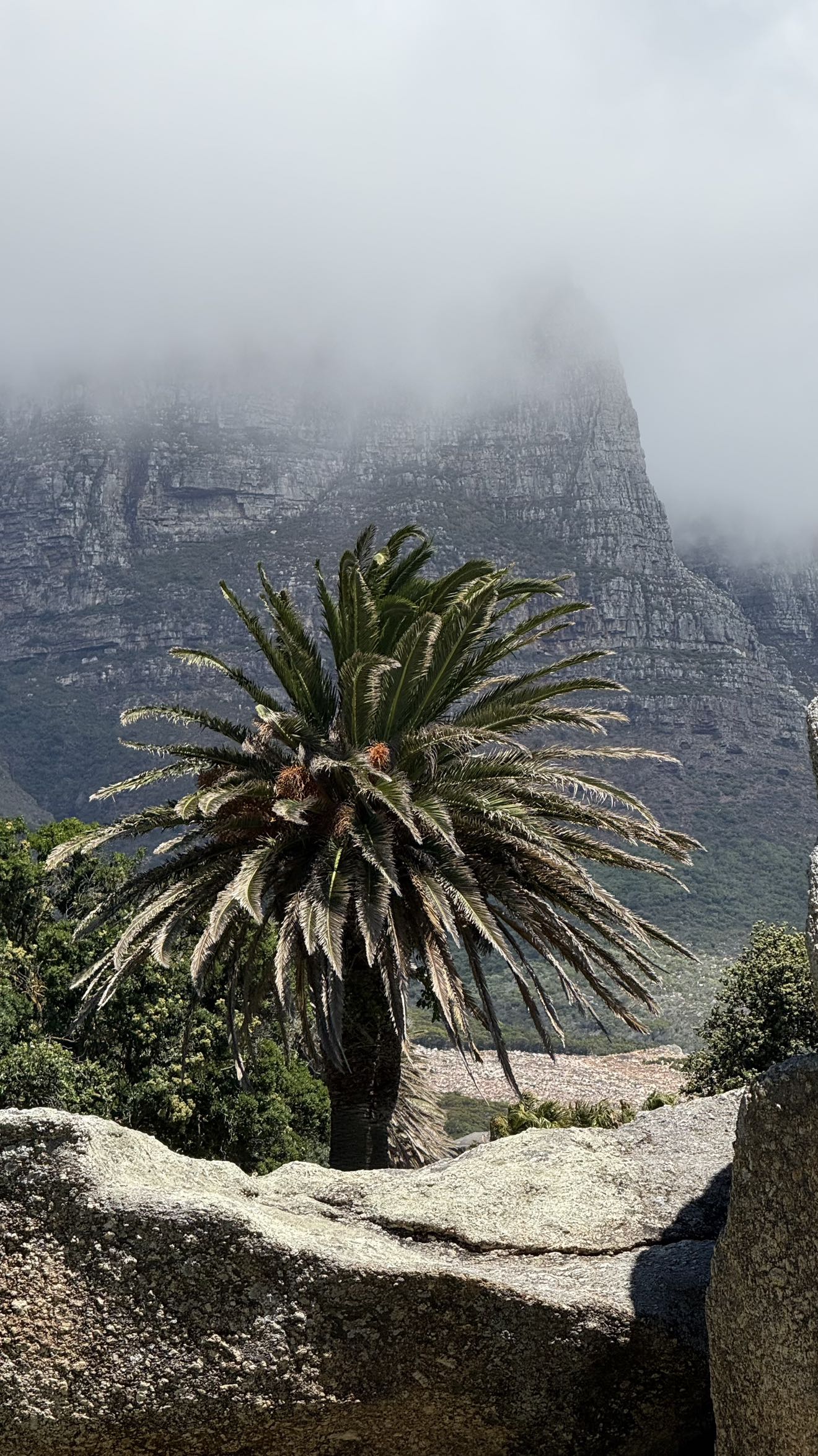 meelahrobbins snapchat image archive image