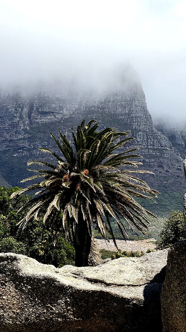 meelahrobbins image ~ Altpins