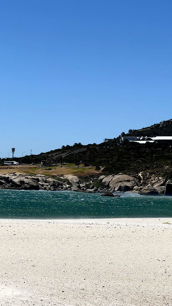 meelahrobbins image ~ Altpins