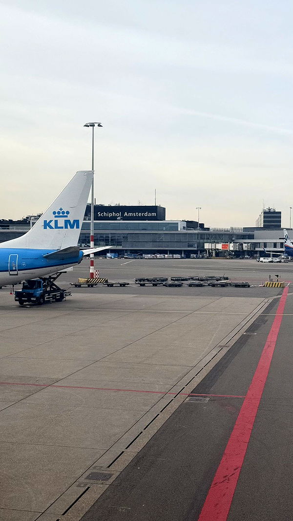 meelahrobbins image ~ Altpins