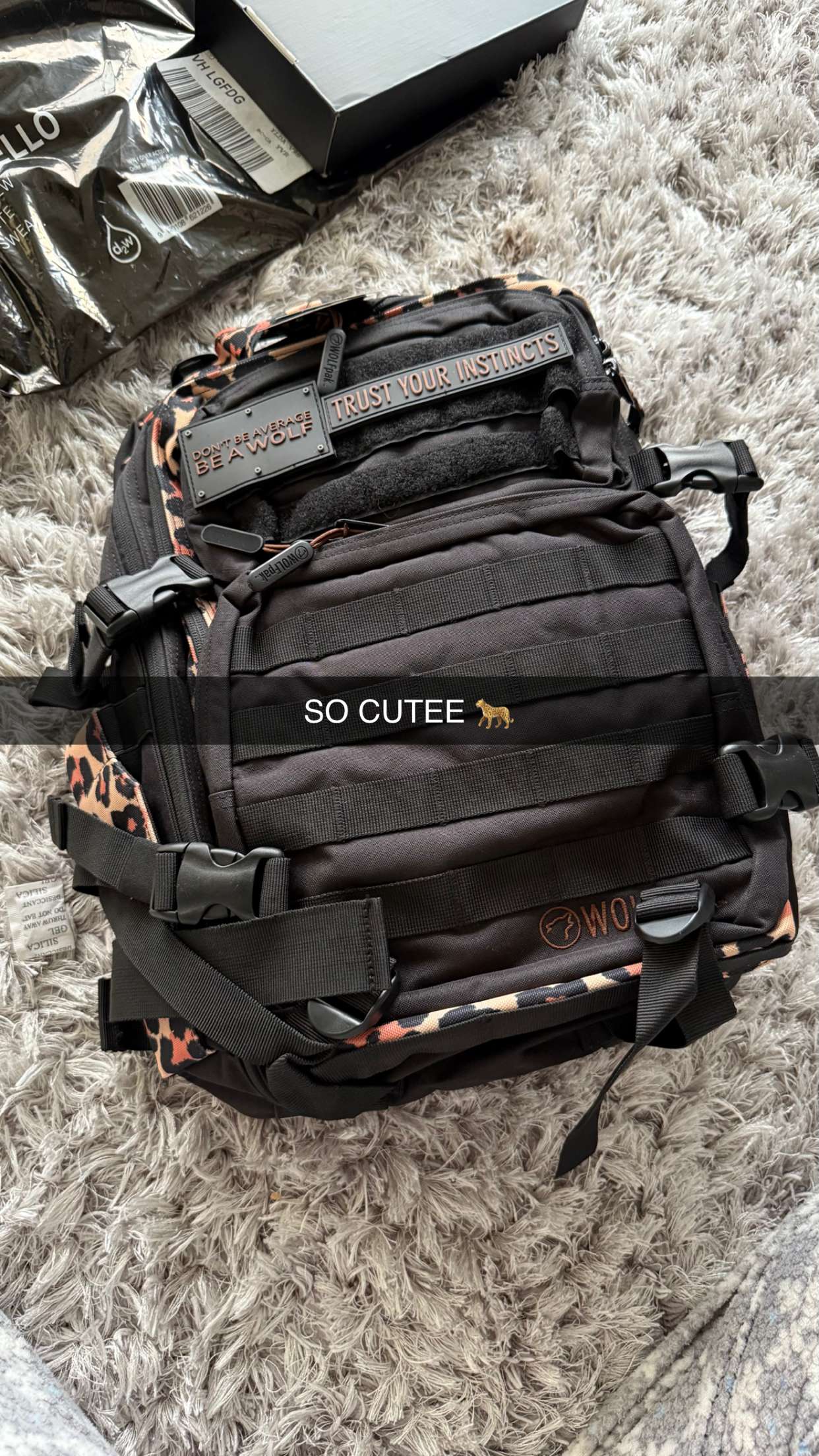 meelahrobbins snapchat image archive image