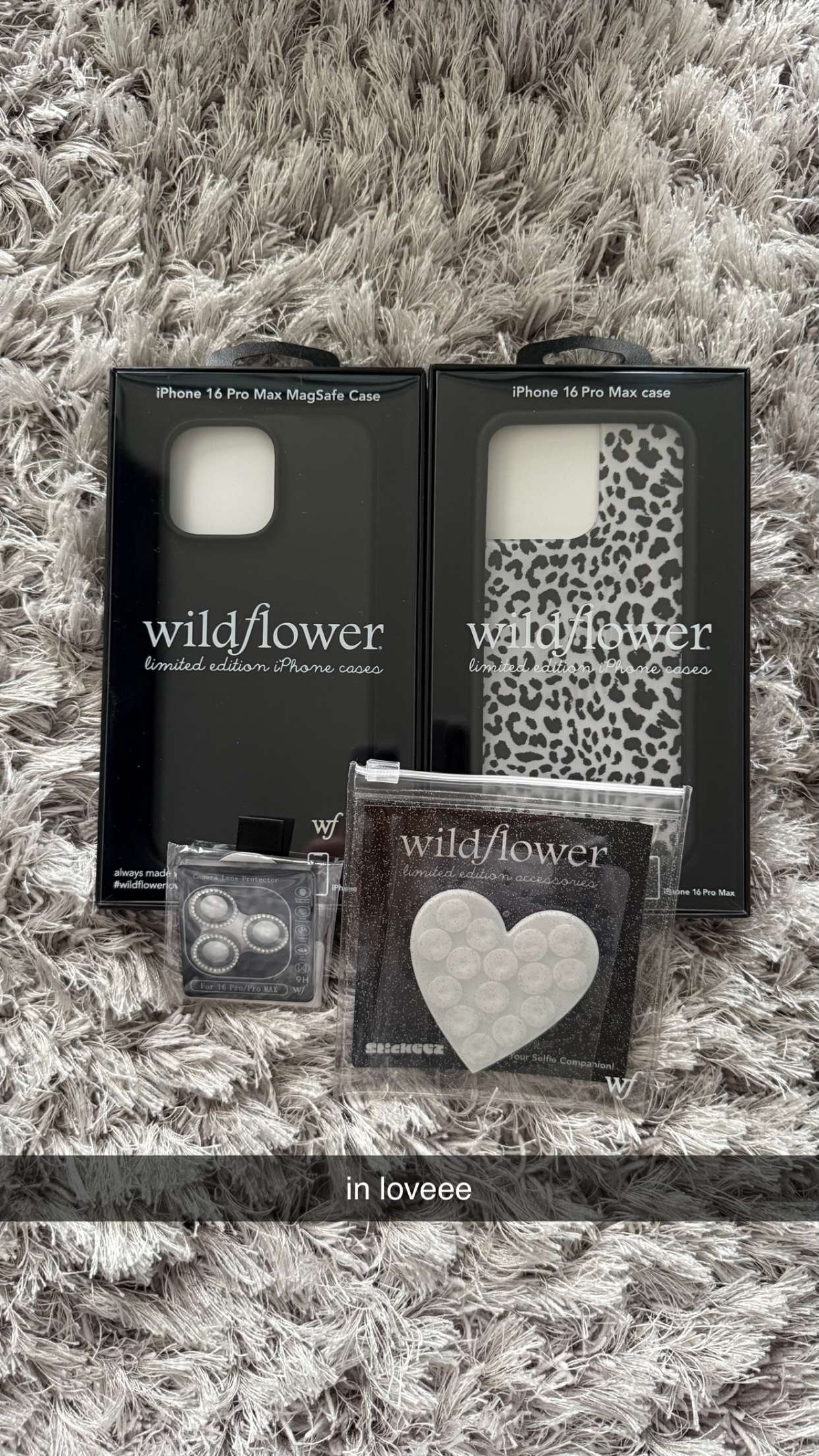 meelahrobbins snapchat image archive image