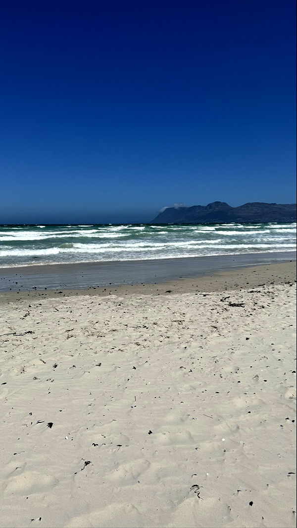 meelahrobbins image ~ Altpins