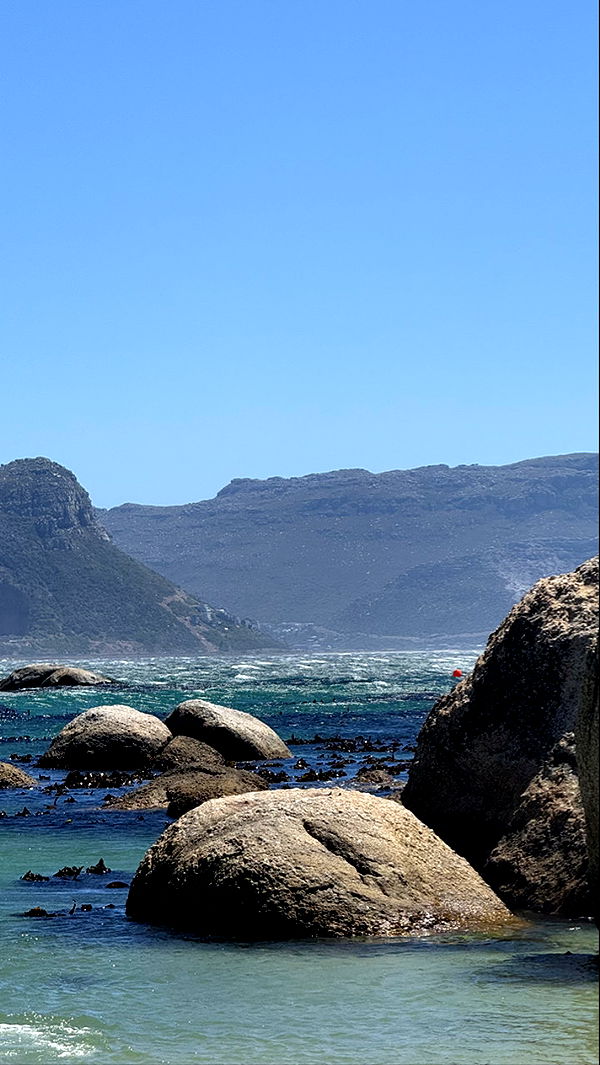 meelahrobbins image ~ Altpins