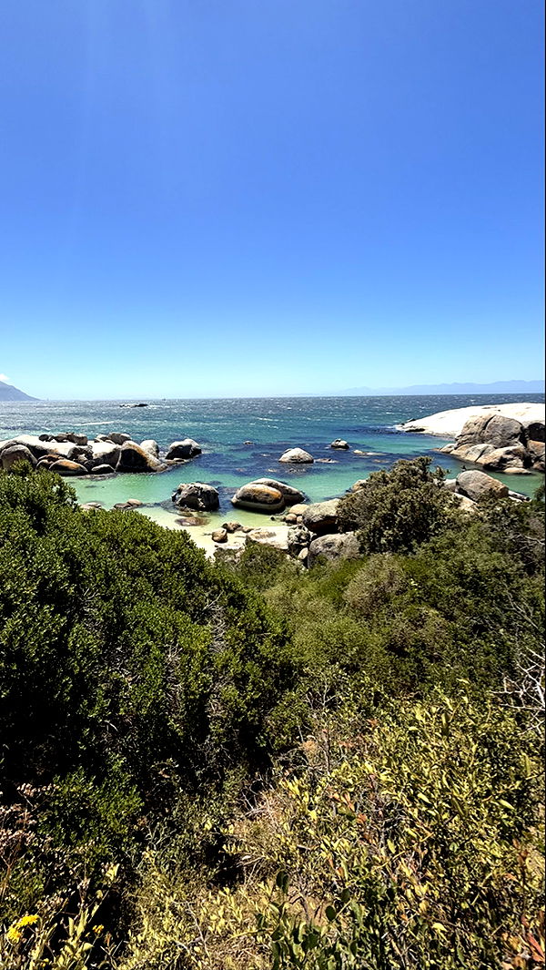 meelahrobbins image ~ Altpins