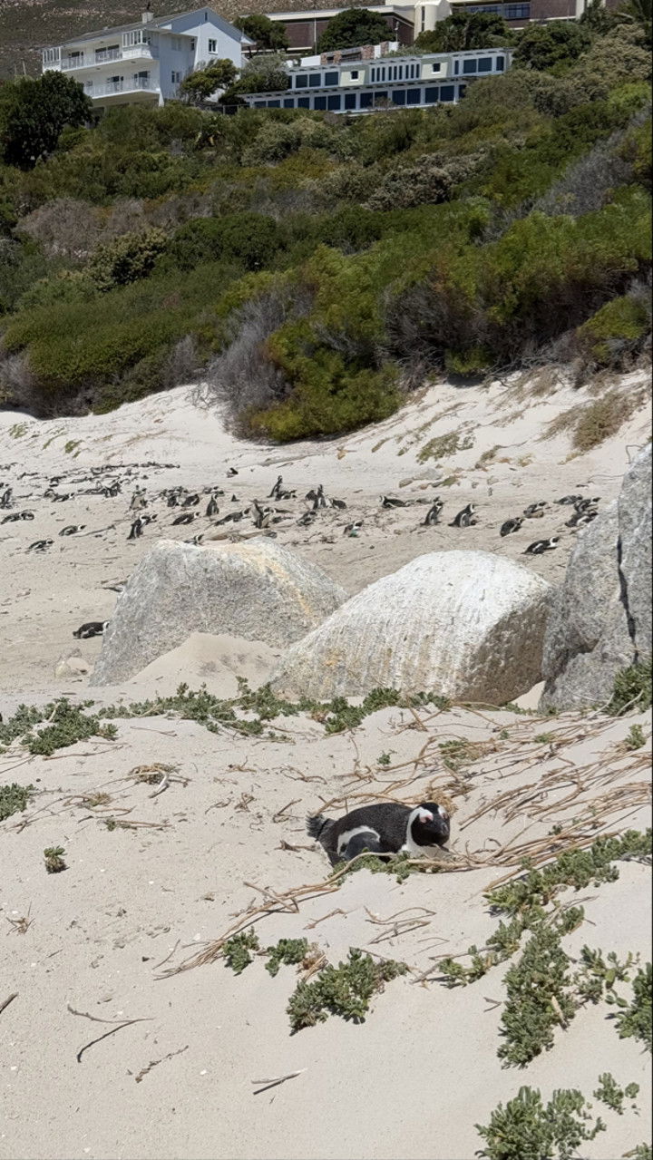 meelahrobbins snapchat image archive image