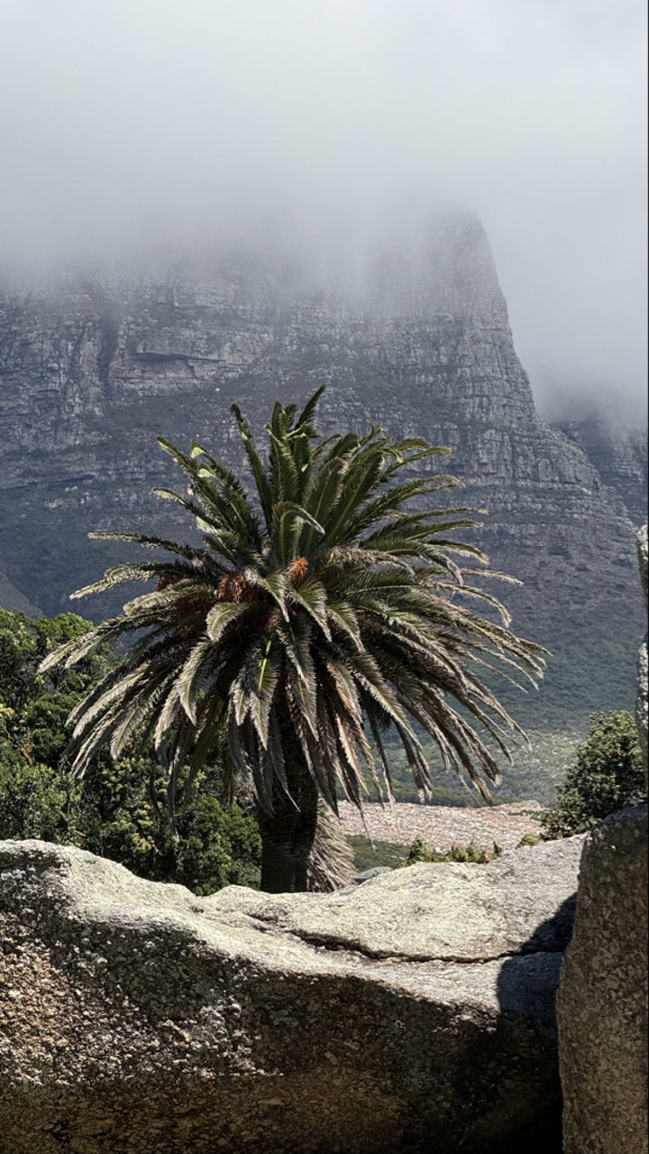 meelahrobbins snapchat image archive image