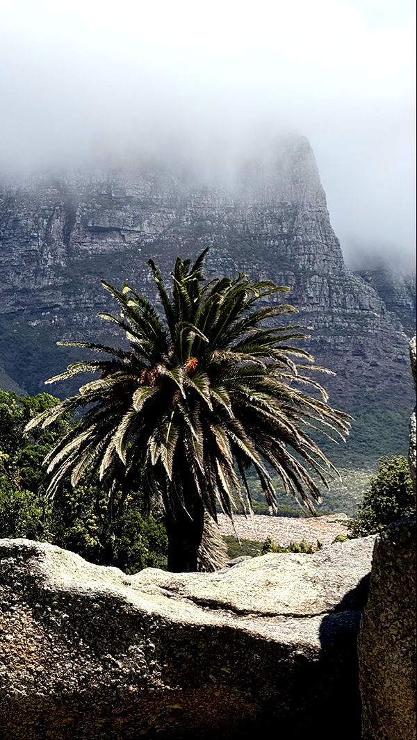 meelahrobbins image ~ Altpins