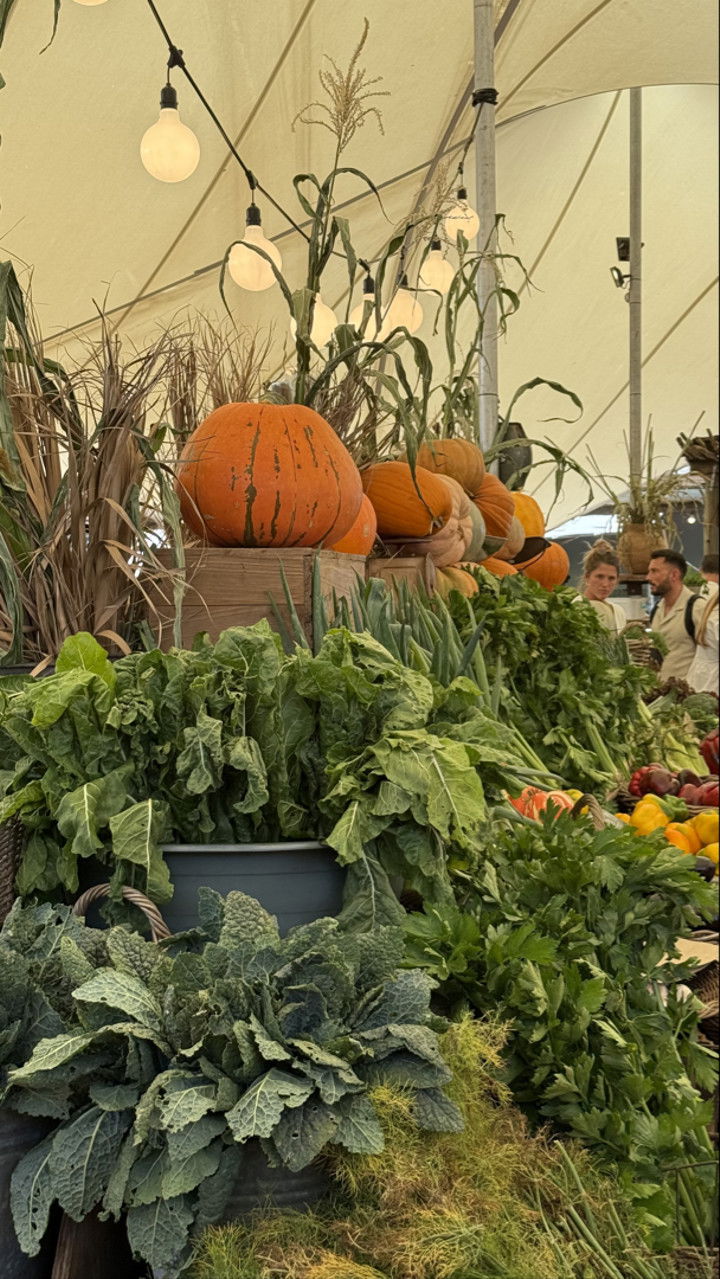 meelahrobbins snapchat image archive image