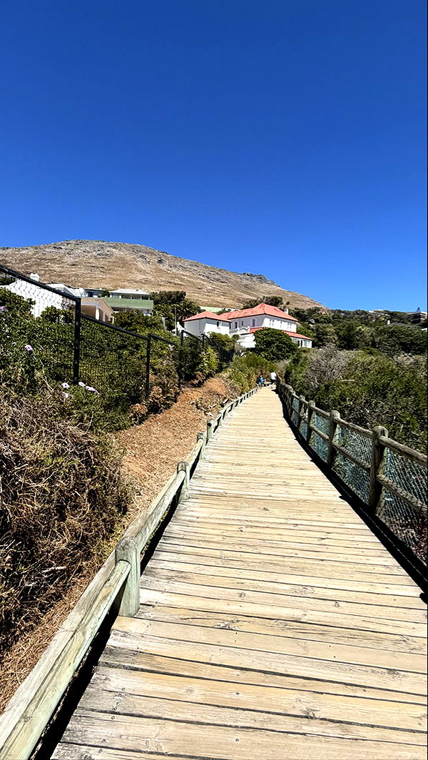 meelahrobbins image ~ Altpins