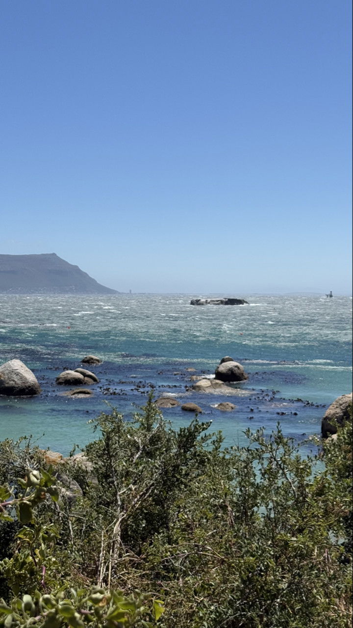 meelahrobbins snapchat image archive image