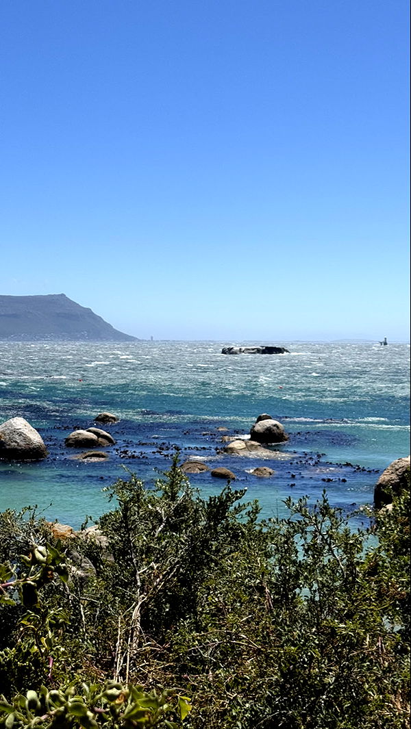 meelahrobbins image ~ Altpins