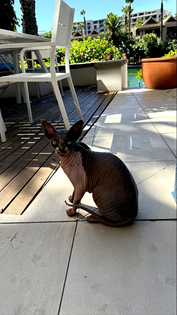 meelahrobbins image ~ Altpins