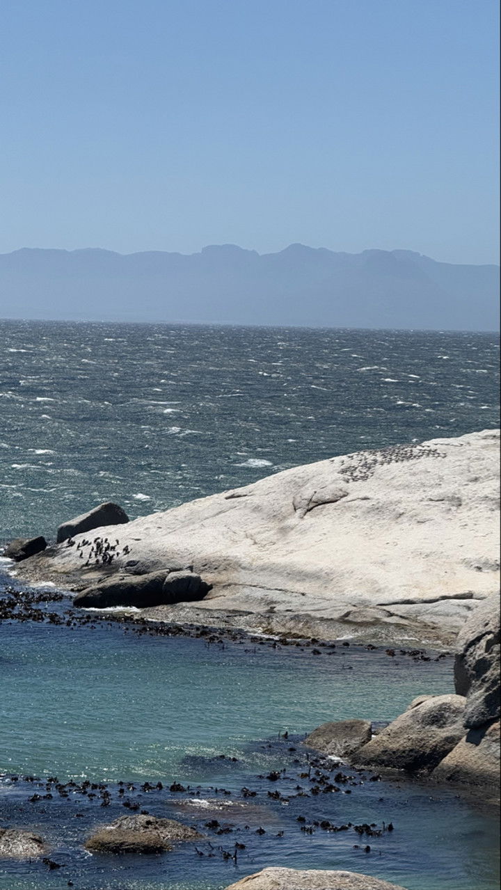 meelahrobbins snapchat image archive image