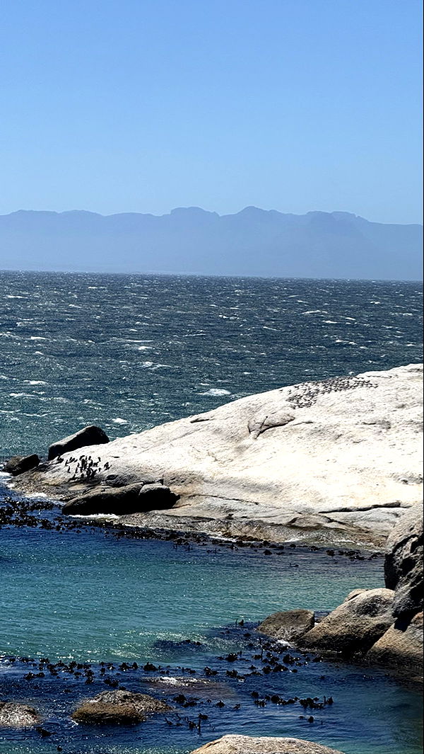 meelahrobbins image ~ Altpins