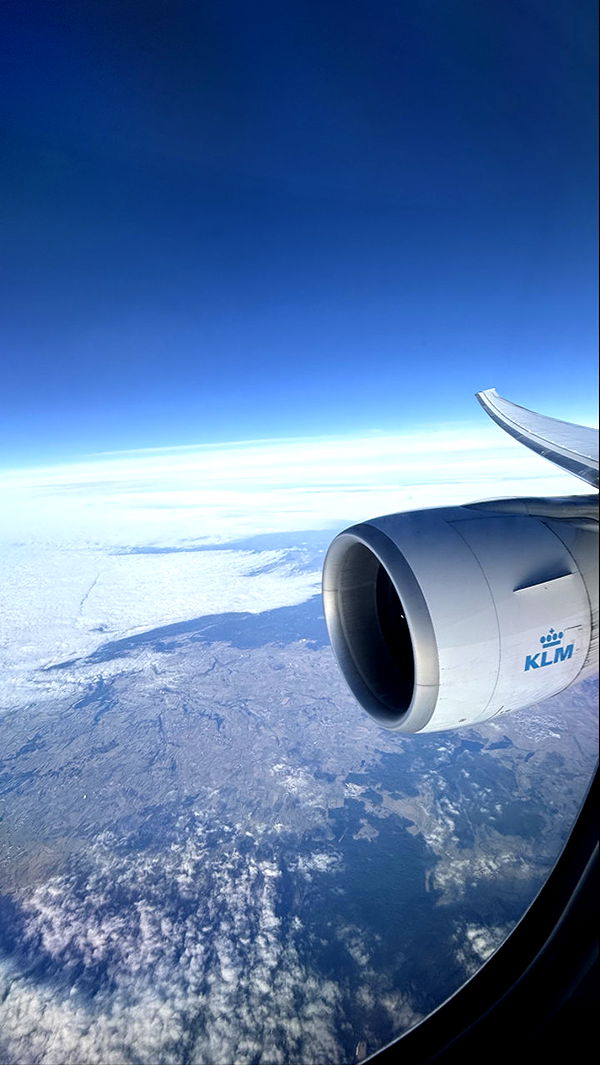 meelahrobbins image ~ Altpins