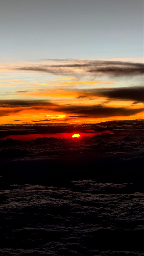 meelahrobbins image ~ Altpins