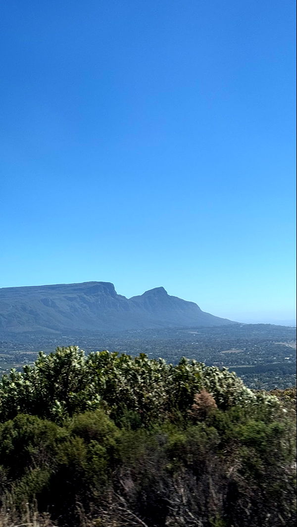 meelahrobbins image ~ Altpins