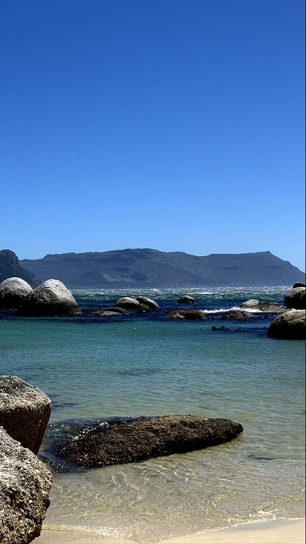 meelahrobbins image ~ Altpins