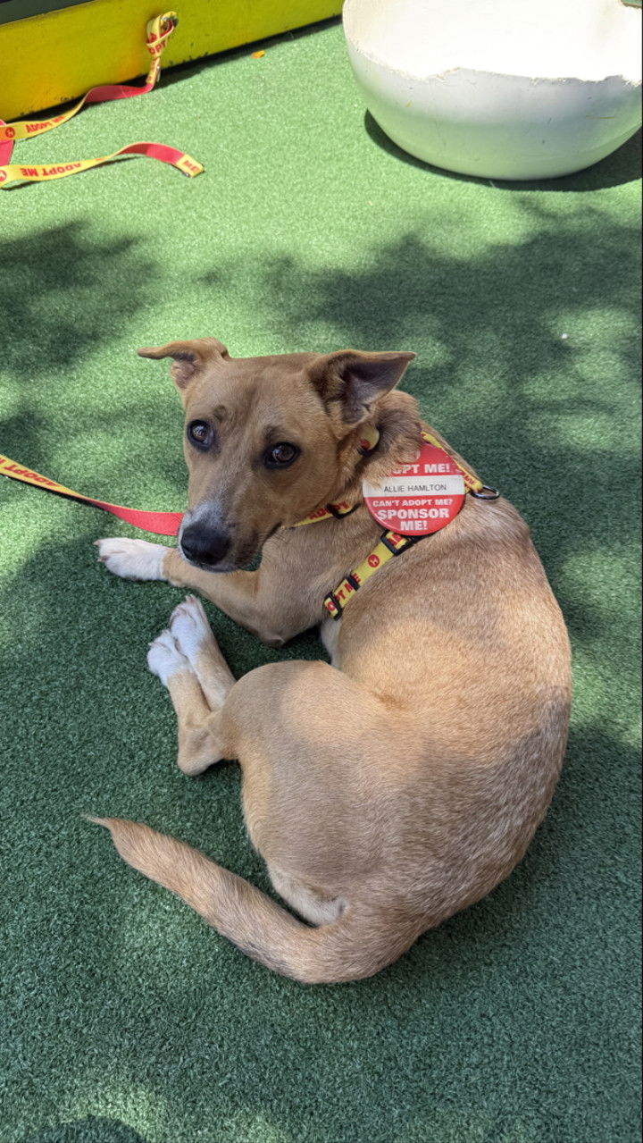 meelahrobbins snapchat image archive image