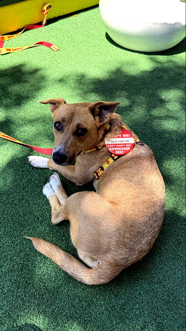 meelahrobbins image ~ Altpins