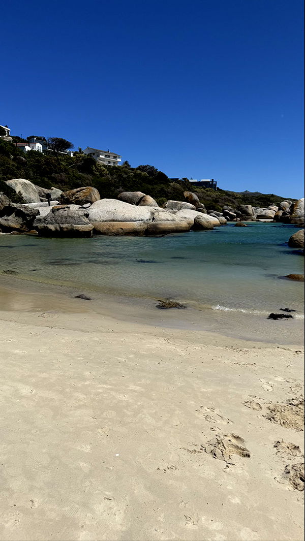 meelahrobbins image ~ Altpins