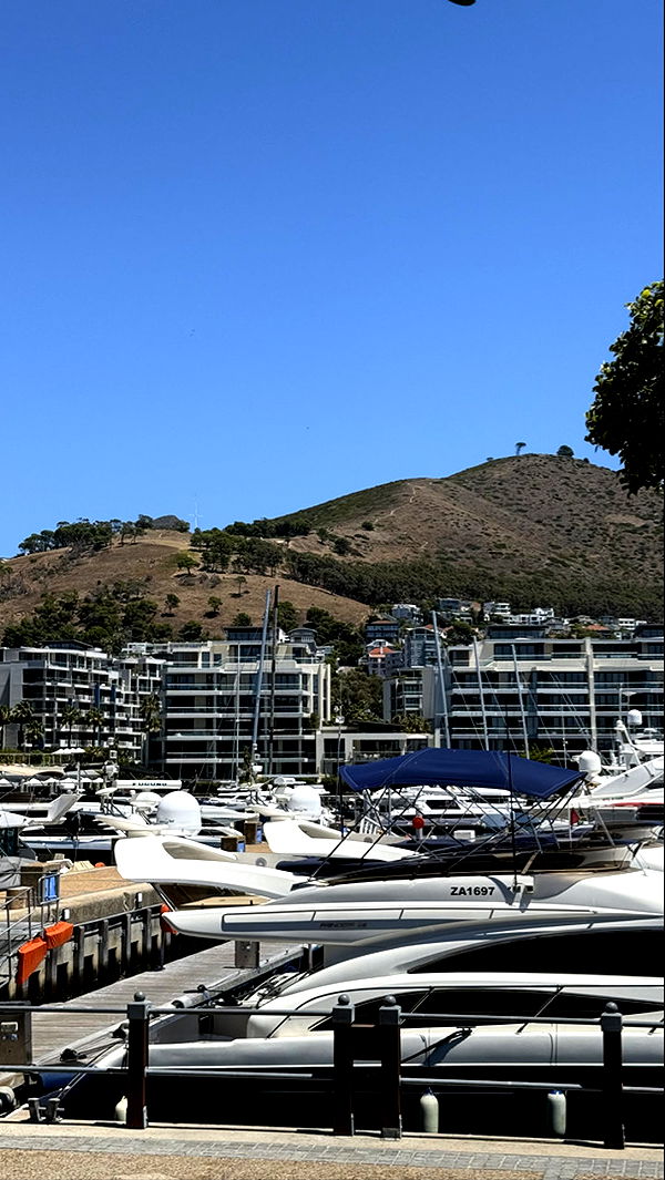 meelahrobbins image ~ Altpins