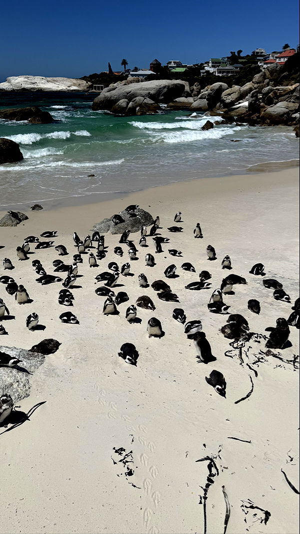 meelahrobbins image ~ Altpins