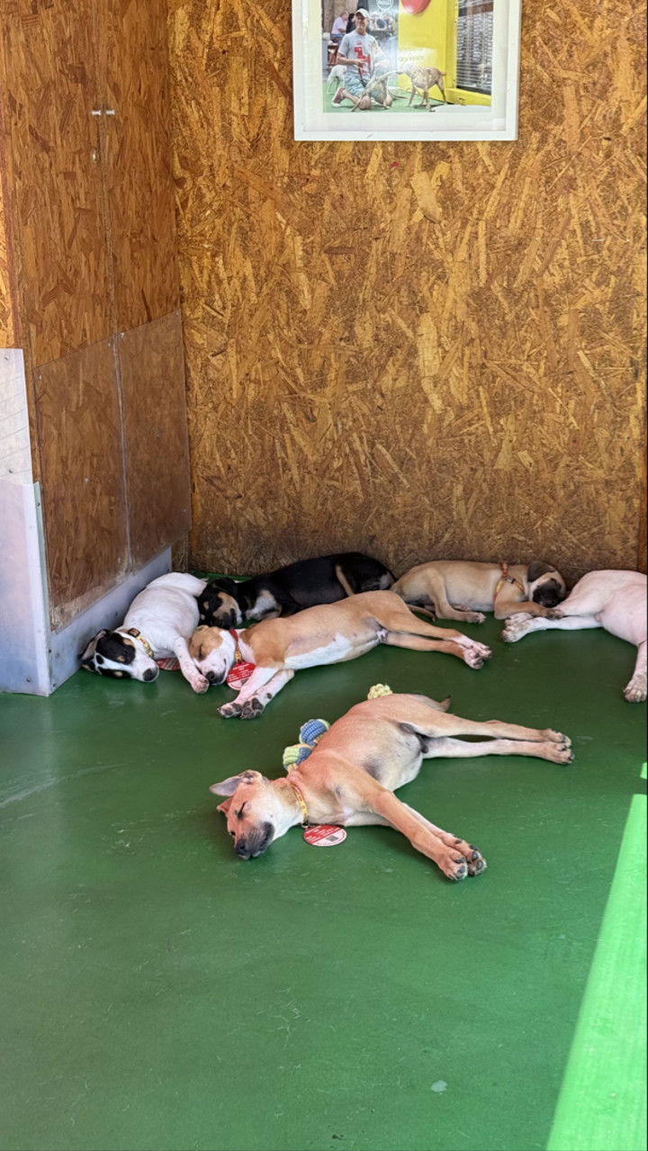 meelahrobbins snapchat image archive image