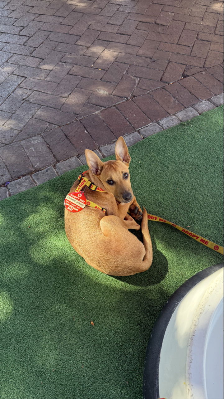 meelahrobbins snapchat image archive image