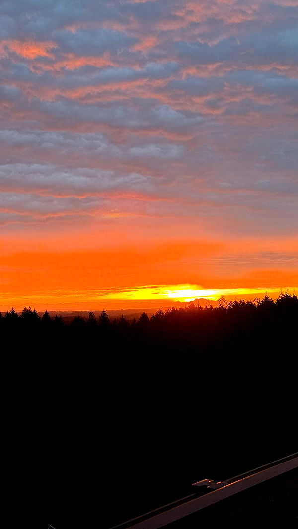 meelahrobbins image ~ Altpins