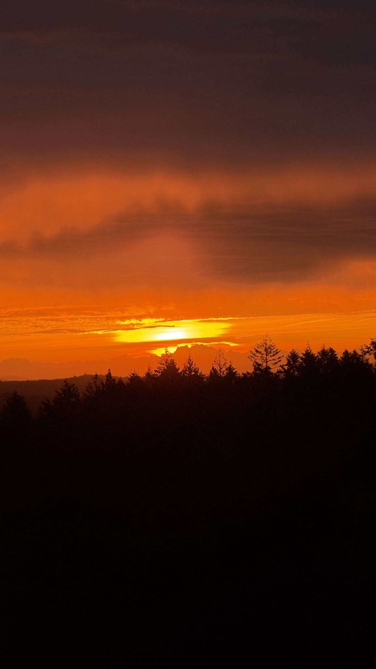 meelahrobbins snapchat image archive image