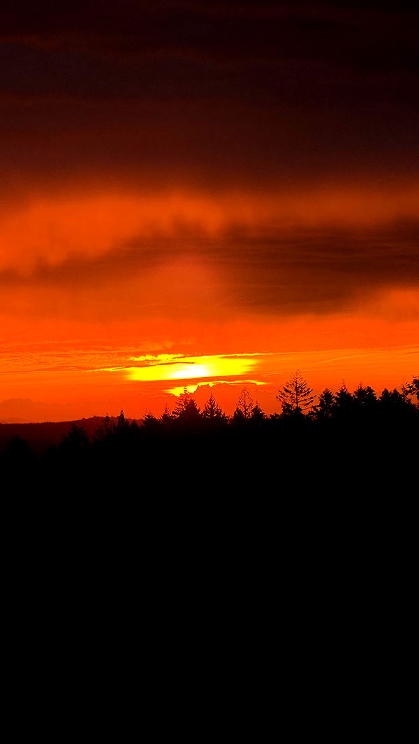 meelahrobbins image ~ Altpins