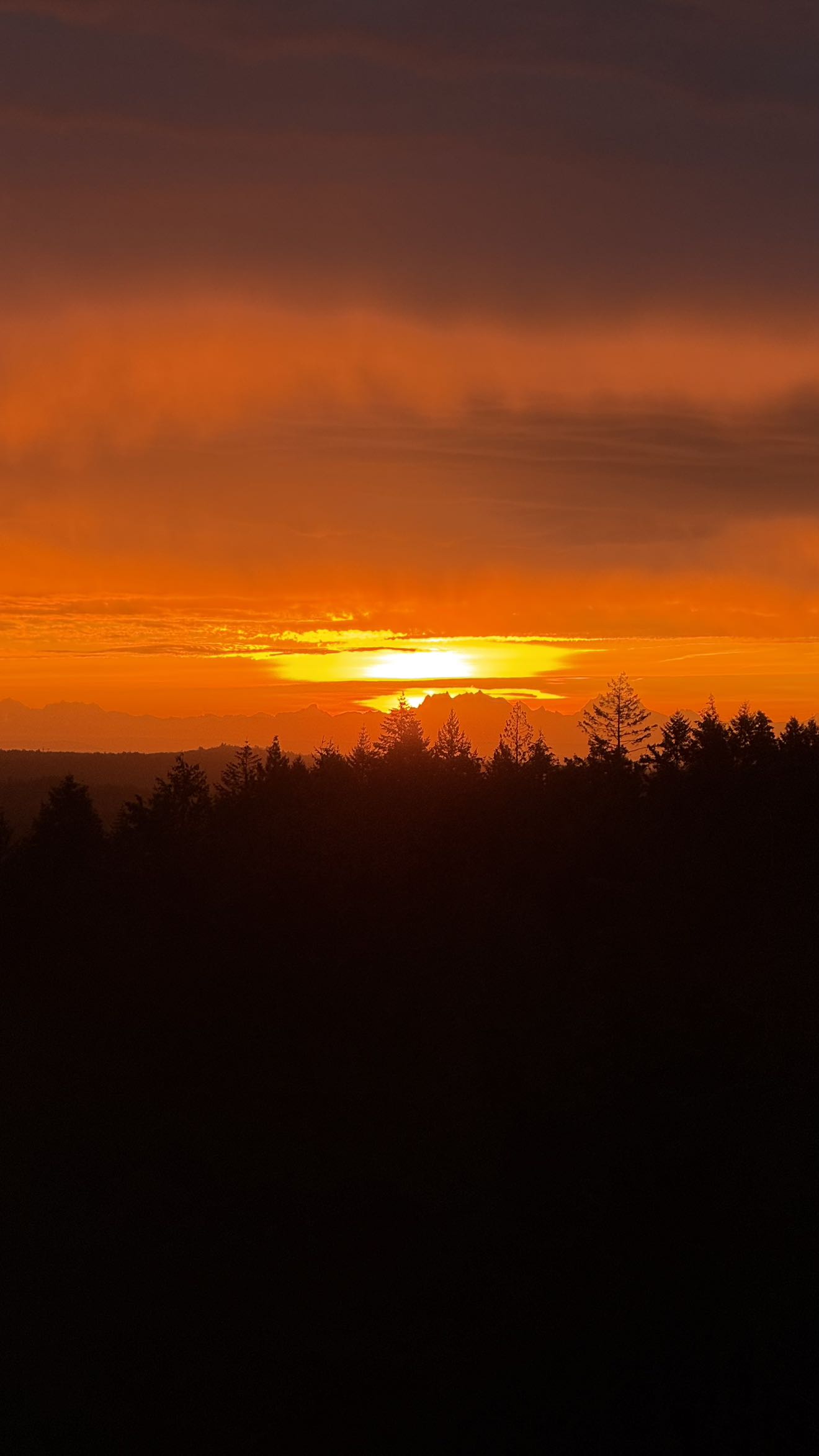 meelahrobbins snapchat image archive image