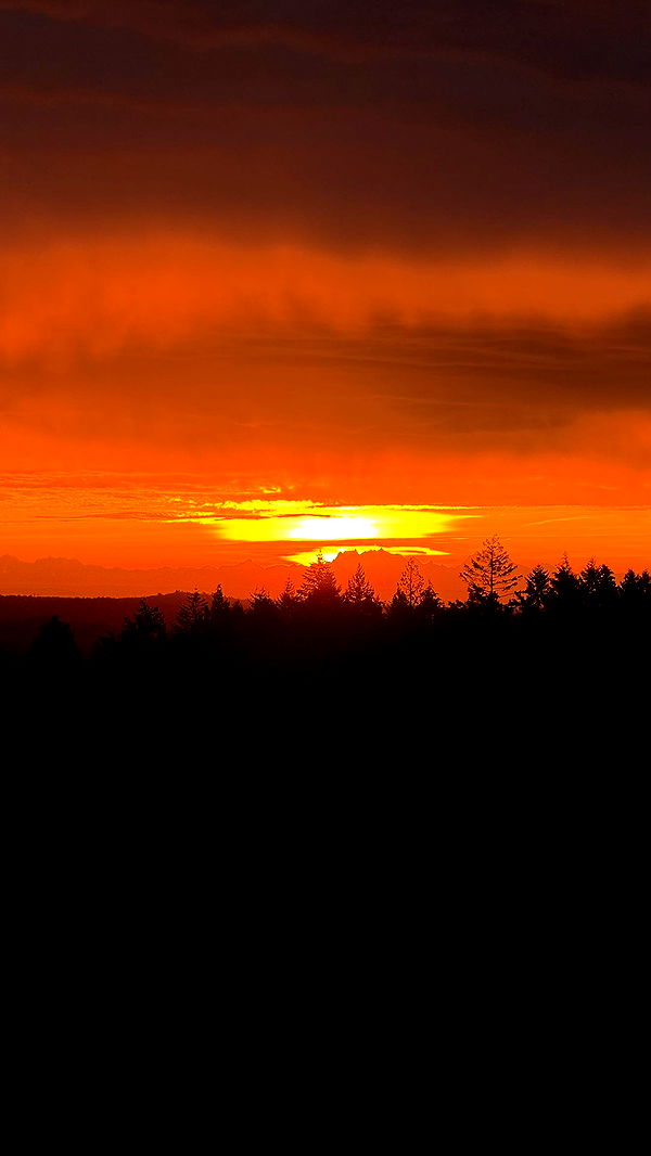 meelahrobbins image ~ Altpins