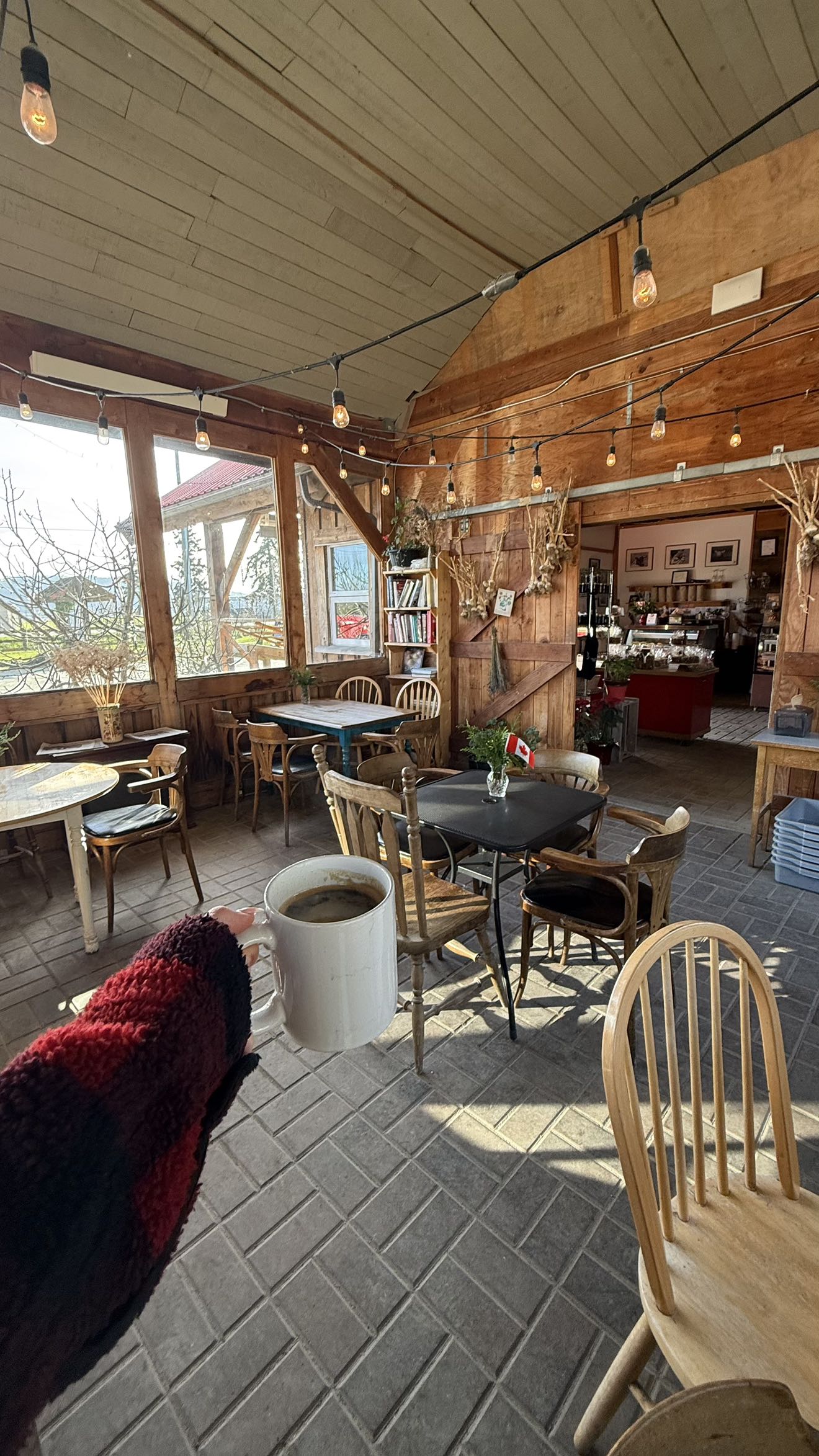 meelahrobbins snapchat image archive image