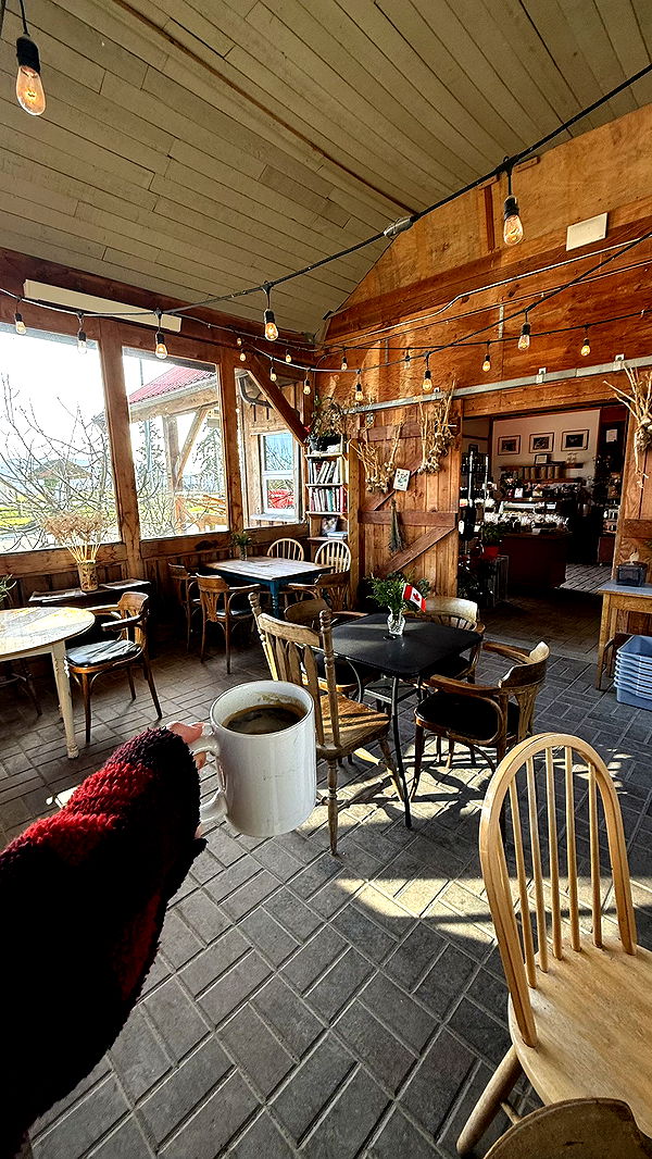 meelahrobbins image ~ Altpins