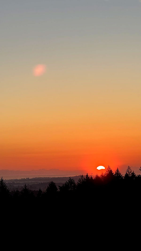 meelahrobbins image ~ Altpins