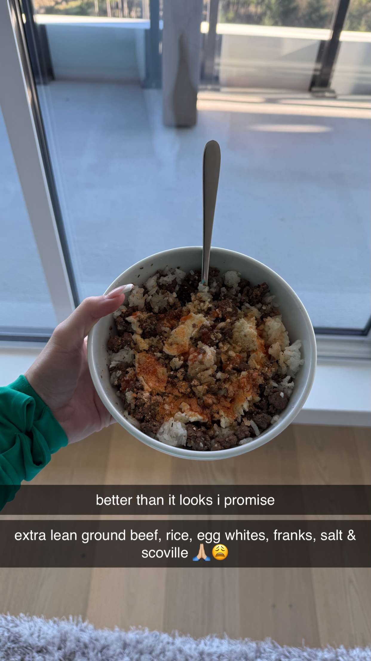 meelahrobbins snapchat image archive image