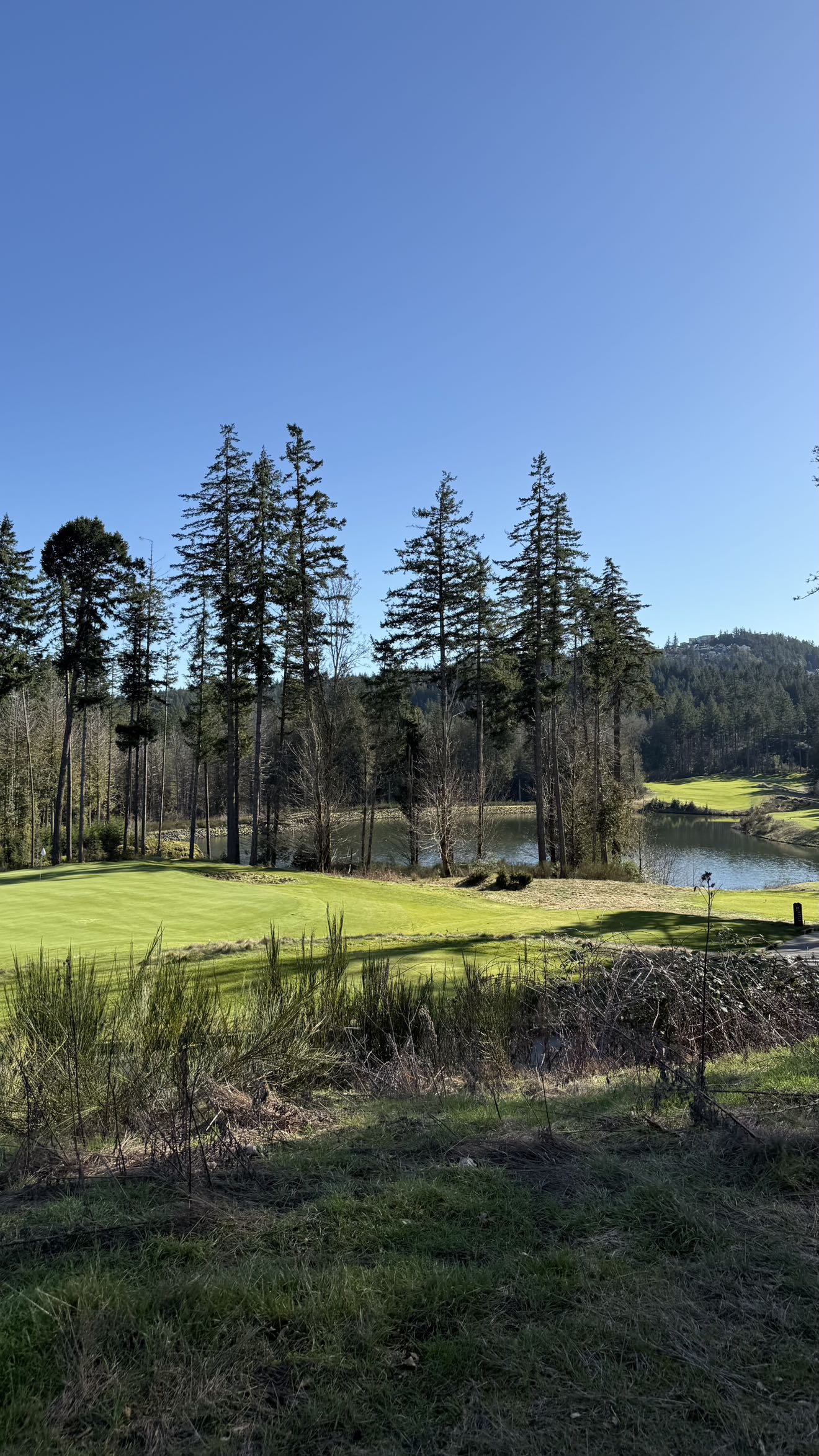 meelahrobbins snapchat image archive image