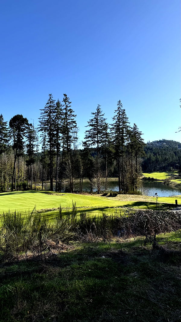 meelahrobbins image ~ Altpins