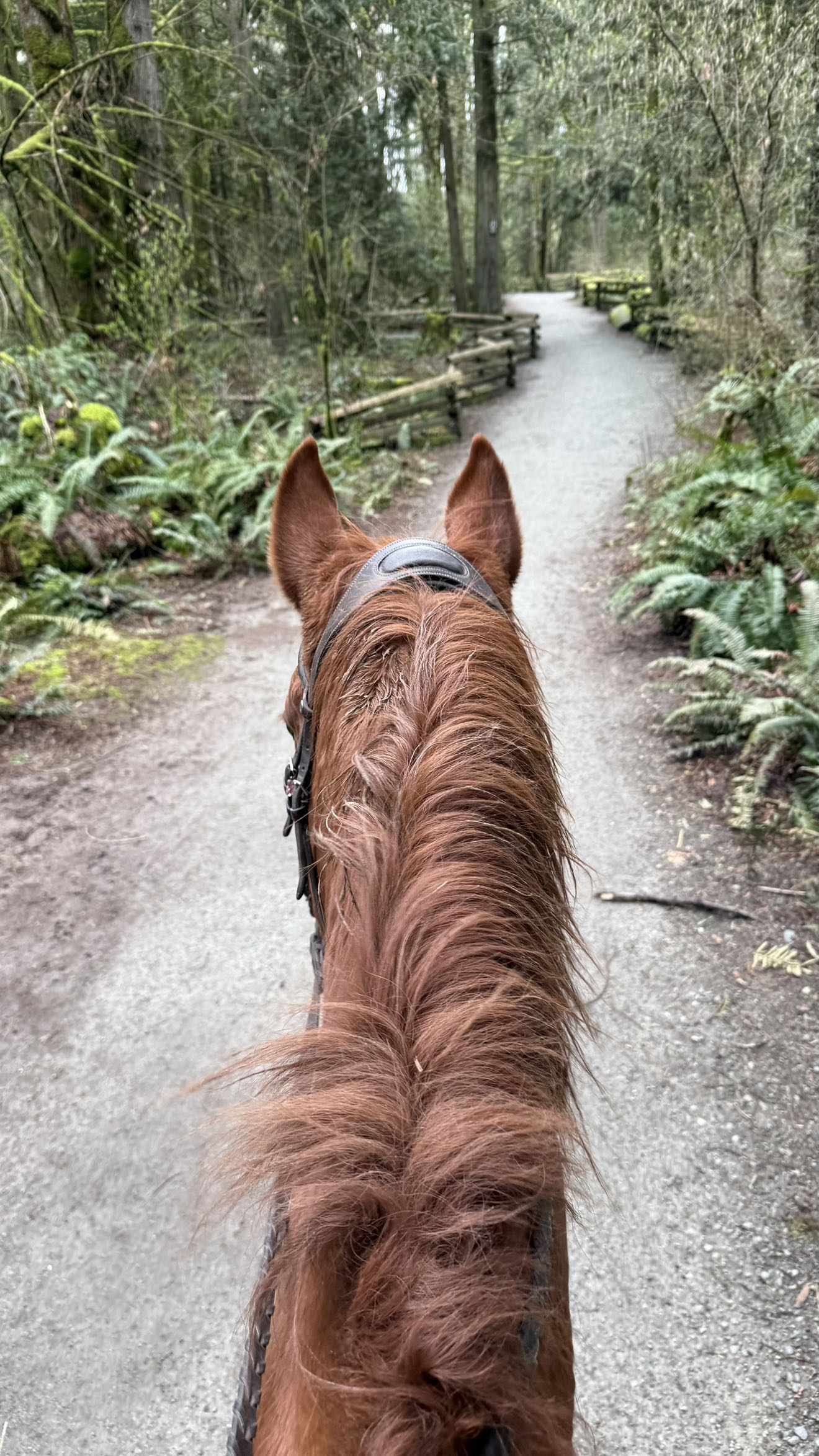 meelahrobbins snapchat image archive image