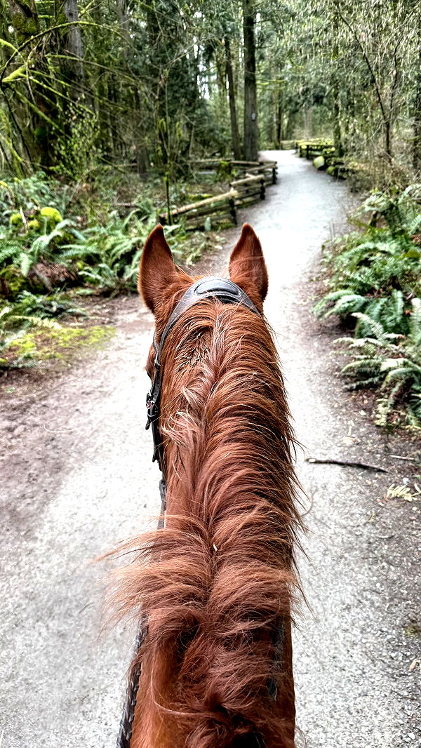 meelahrobbins image ~ Altpins