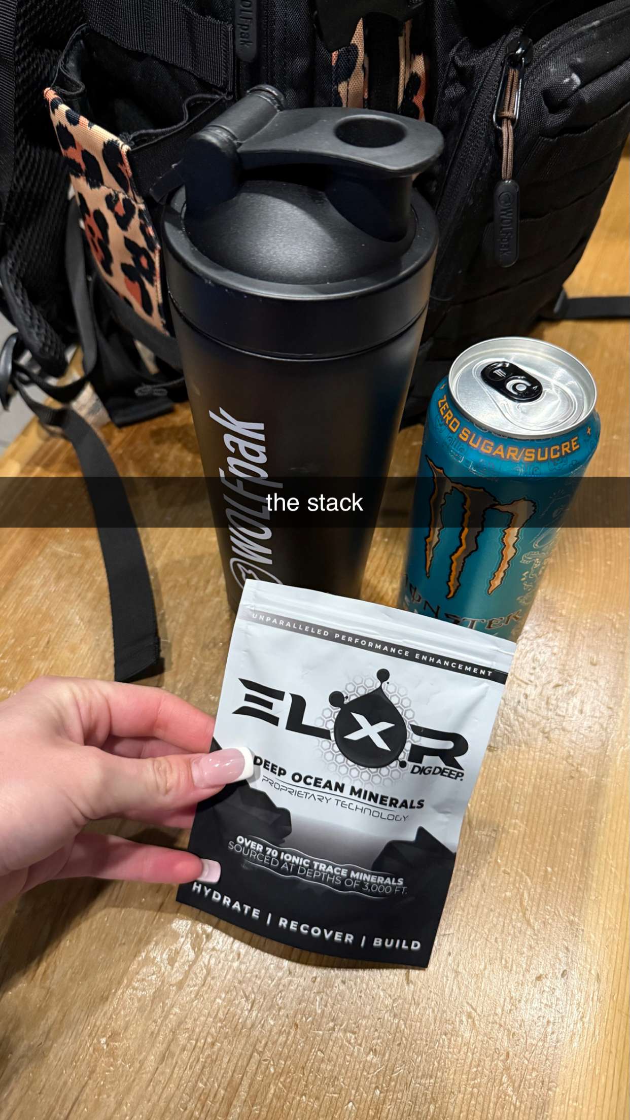 meelahrobbins snapchat image archive image