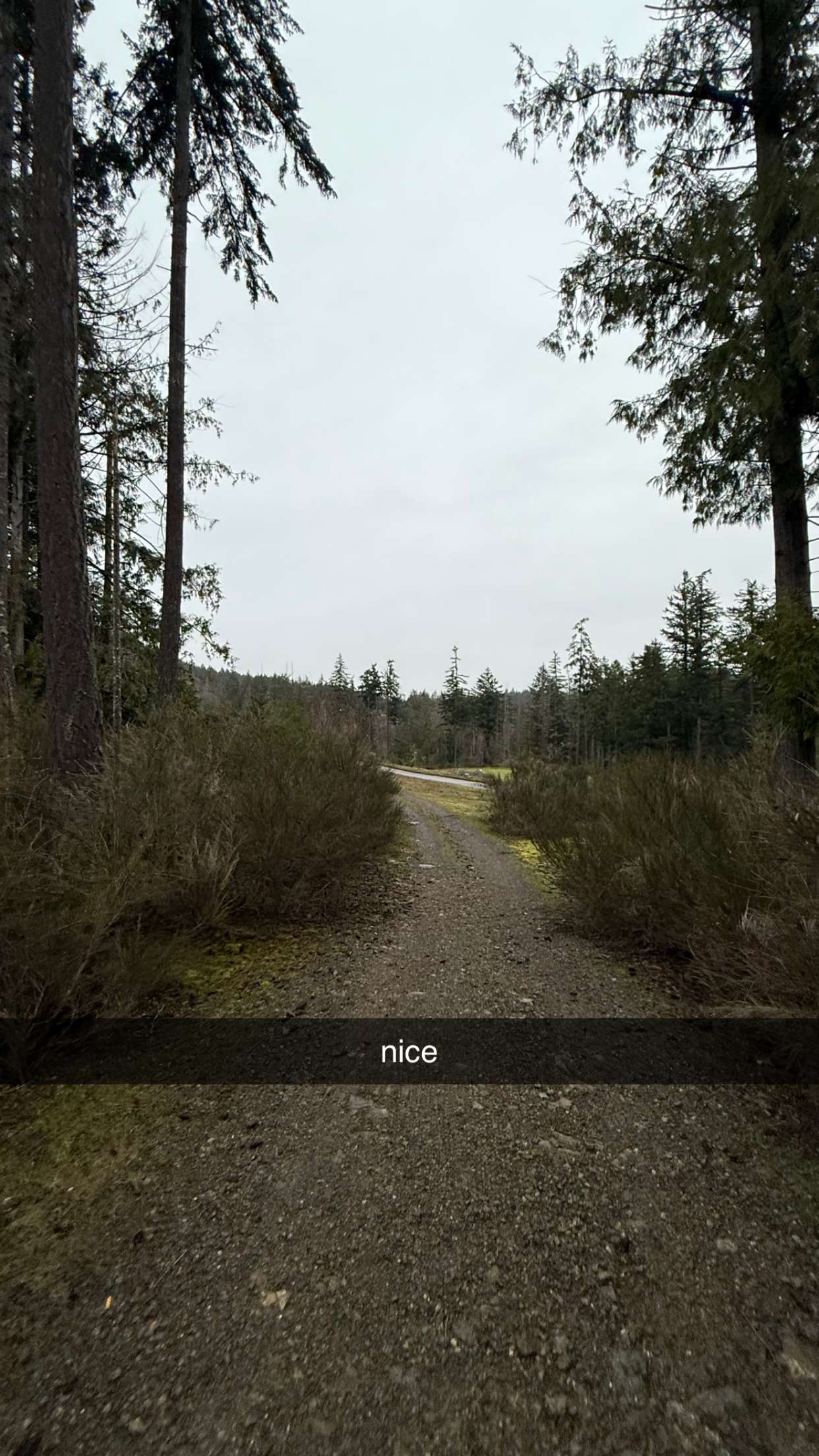 meelahrobbins snapchat image archive image