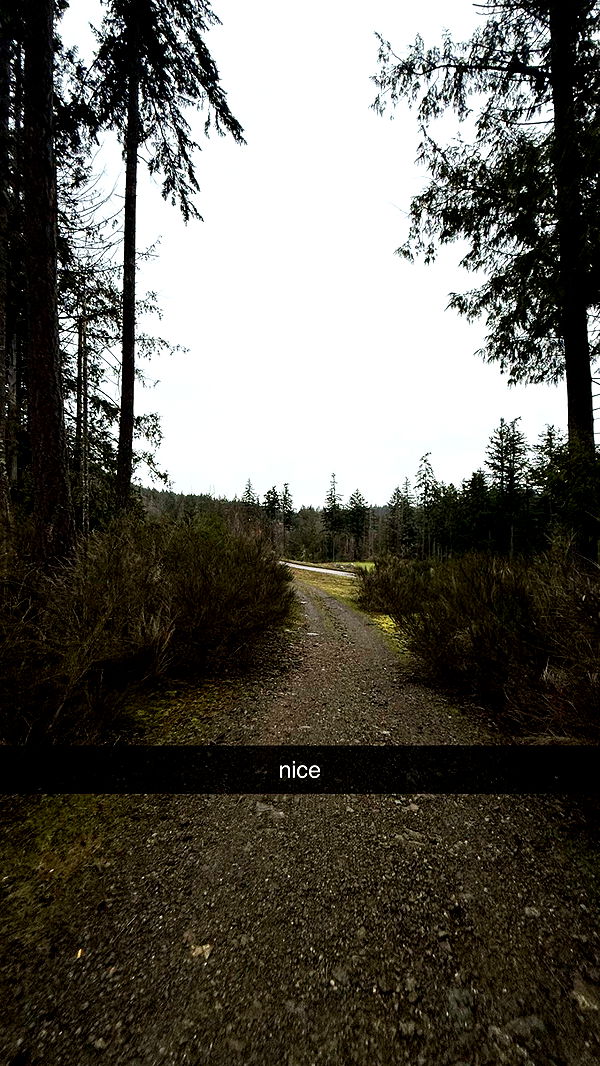 meelahrobbins image ~ Altpins