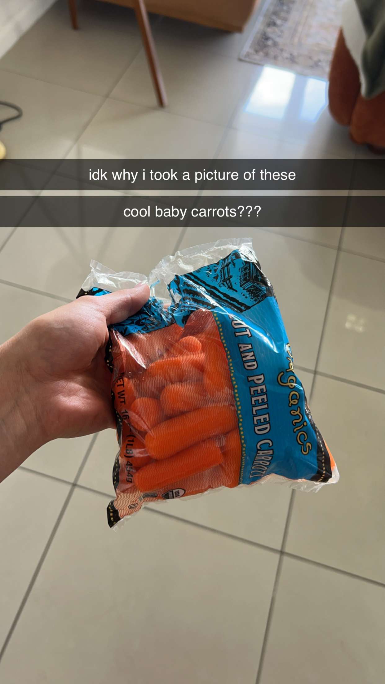 meelahrobbins snapchat image archive image