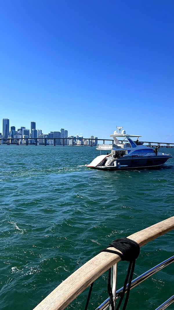 meelahrobbins image ~ Altpins