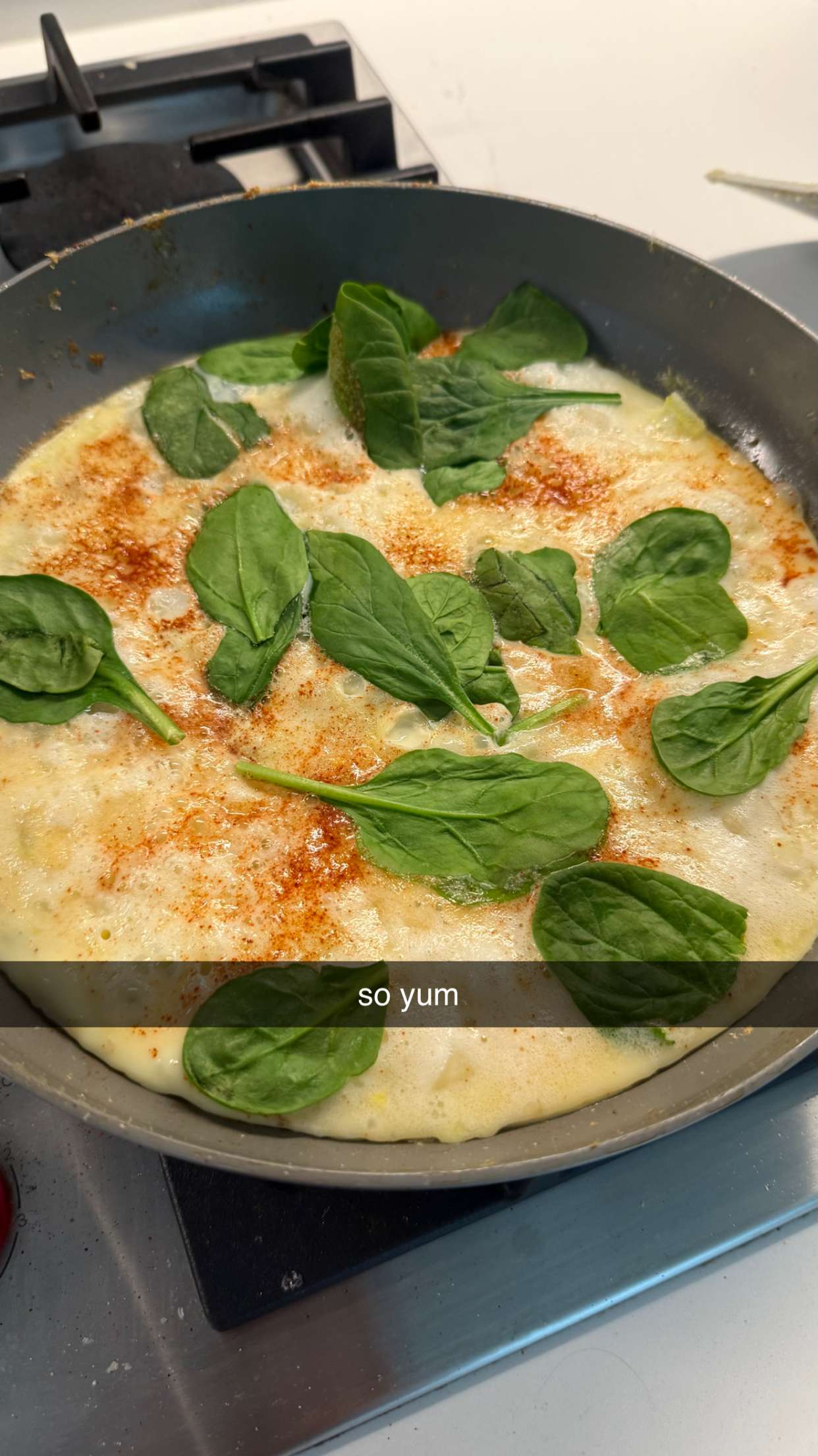 meelahrobbins snapchat image archive image