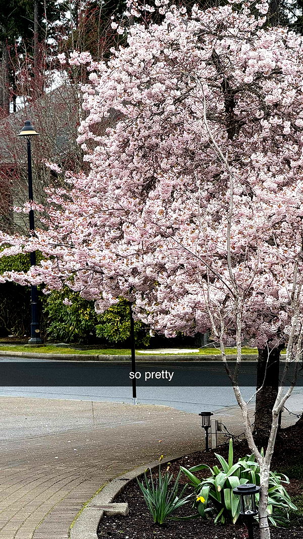 meelahrobbins image ~ Altpins